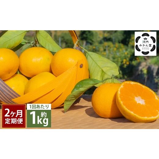 ふるさと納税 果物類 みかん 熊本県 熊本市 2ヶ月定期便 訳アリ 「 河内みかん堂 」 のみかん 約1kg + 傷み補償付き 約5玉 ( 家庭用 ) みかん ミカン 河内…