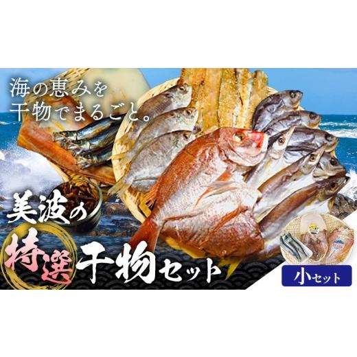 ふるさと納税 干物 徳島県 佐那河内村 はまみや海産 美波 の 特選 干物セット 小セット[30日以内に出荷予定(土日祝除く)]徳島県 佐那河内村 干物 ひもの …