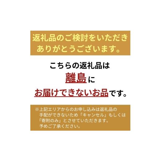 ふるさと納税 ファッション 大阪府 岸和田市 Yogibo Lite Rainbow サンセット ヨギボー ヨギボーライトレインボー ビーズクッション クッション ビーズ インテ…の画像