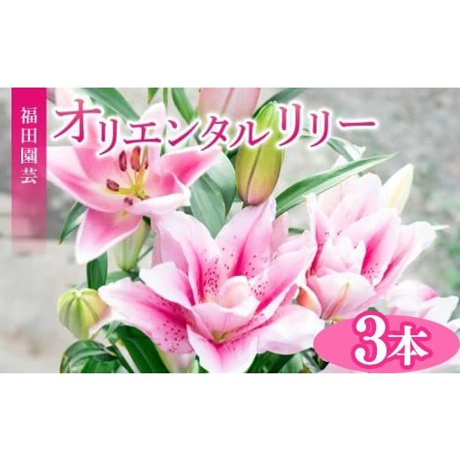ふるさと納税 雑貨・日用品 花 高知県 安芸市 ユリ オリエンタルリリー 3本セット 花束 贈り物 ギフト プレゼント 誕生日 母の日 父の日 敬老の日 記念日 お祝…