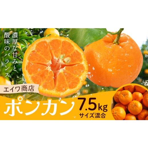 ふるさと納税 果物類 みかん 和歌山県 日高川町 ポンカン サイズ混合 7.5kg エイワ商店[2月上旬-2月下旬頃出荷]和歌山県 日高川町 送料無料 ぽんかん 柑橘類…