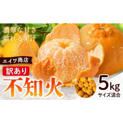 ふるさと納税 果物類 みかん 和歌山県 日高川町 訳あり 不知火 サイズ混合 5kg エイワ商店[2月上旬-2月下旬頃出荷]和歌山県 日高川町 送料無料 しらぬい 柑…