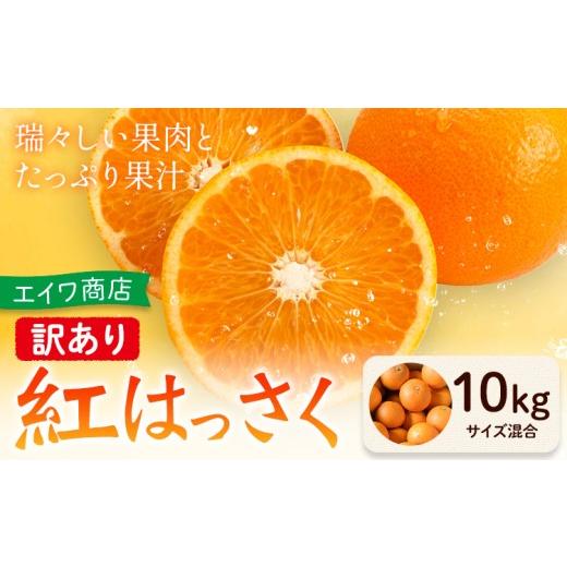ふるさと納税 果物類 みかん 和歌山県 日高川町 訳あり 紅はっさく サイズ混合 10kg エイワ商店[2月中旬-3月中旬頃出荷]和歌山県 日高川町 送料無料 八朔 柑…