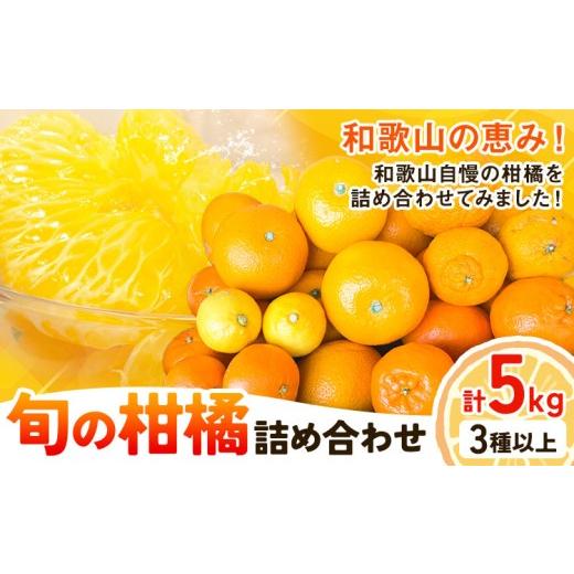 ふるさと納税 果物類 みかん 和歌山県 日高川町 旬の柑橘 詰め合わせ 3種以上 サイズ混合 5kg エイワ商店[2月中旬-3月下旬頃出荷]和歌山県 日高川町 送料無…