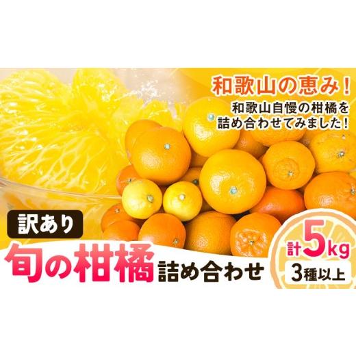 ふるさと納税 果物類 みかん 和歌山県 日高川町 訳あり 旬の柑橘 詰め合わせ 3種以上 サイズ混合 5kg エイワ商店[2月中旬-3月下旬頃出荷]和歌山県 日高川町 …