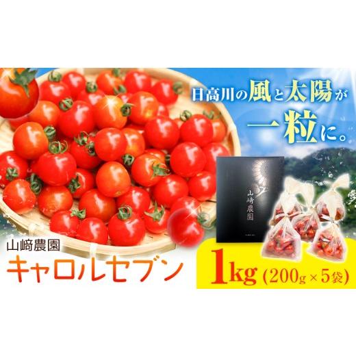 ふるさと納税 トマト ミニトマト 和歌山県 日高川町 和歌山産 ミニトマト トマト キャロルセブン 約1kg サイズおまかせ 山?農園[30日以内に出荷予定(土日祝除…