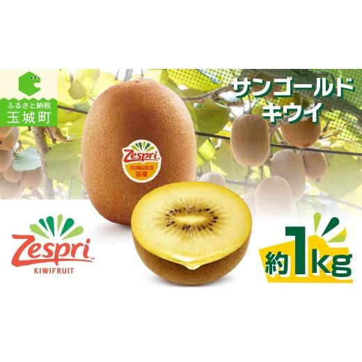 ふるさと納税 果物類 三重県 玉城町 先行予約 ゼスプリ サンゴールドキウイ 約1kg 2026年度発送 Zespri キウイフルーツ キウイ フルーツ 果物 くだもの 家庭…