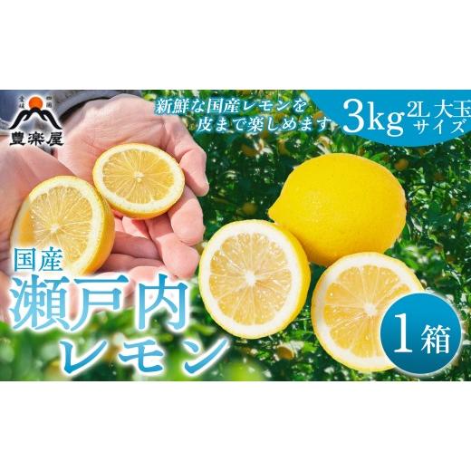 ふるさと納税 みかん・柑橘類 レモン 愛媛県 八幡浜市 先行受付 防腐剤・ワックス不使用で安心 真穴産地直送の国産レモン 3kg(2Lサイズ 大玉) C98-7 1711280 …