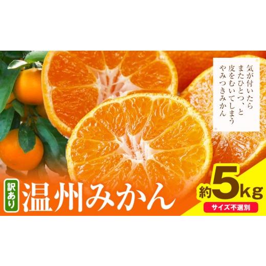ふるさと納税 果物類 みかん 和歌山県 日高川町 日高川町産温州みかん ご家庭用 約5kg とね農園[2026年11月中旬-12月末頃出荷] 和歌山県 日高川町 旬 新鮮 …