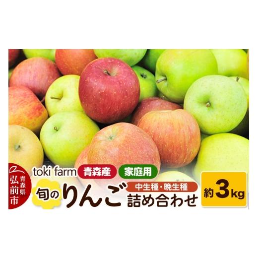 ふるさと納税 りんご 青森県 弘前市 26年11月中旬〜発送 りんご 旬のりんご 中生種・晩生種 詰め合わせ 約3kg(8〜12玉程度)家庭用 toki farm アップル おい…