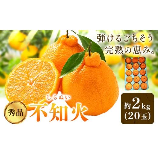 ふるさと納税 みかん・柑橘類 和歌山県 日高川町 柑橘 秀品 不知火 ( デコポン ) と同品種 約2kg( 20玉 ) 垣内農園 [2027年2月上旬-2月下旬頃出荷]和歌山…