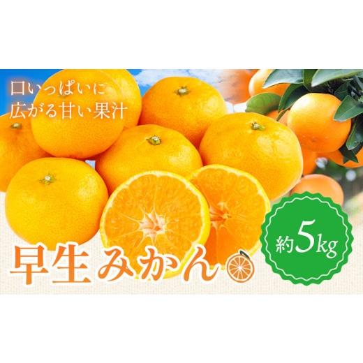 ふるさと納税 果物類 みかん 和歌山県 日高川町 早生みかん 約5kg 垣内農園 [10月下旬-12月中旬頃出荷]和歌山県 日高川町 果物 フルーツ 蜜柑 ミカン みかん…