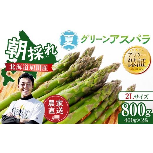 ふるさと納税 野菜類 アスパラガス 北海道 旭川市 先行予約 農家直送 朝採れ 夏グリーンアスパラ 2Lサイズ 800g(400g×2袋)北海道旭川産(2026年6月下旬発送開…