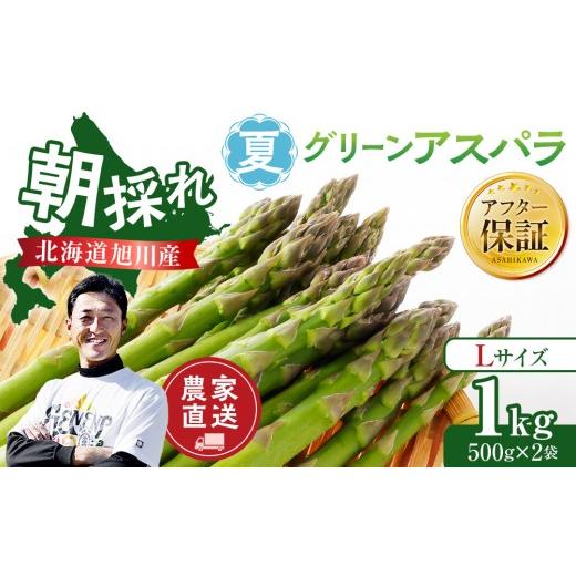 ふるさと納税 野菜類 アスパラガス 北海道 旭川市 先行予約 農家直送
