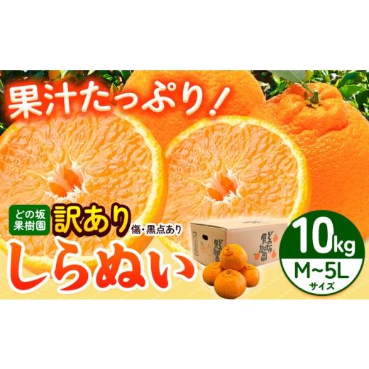 ふるさと納税 みかん・柑橘類 和歌山県 日高川町 訳あり 不知火 ( デコポン と同品種 ) しらぬい 約 10kg (M〜5Lサイズ) どの坂果樹園[2027年2月中旬-4月上旬…