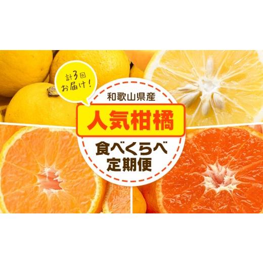 ふるさと納税 みかん・柑橘類 和歌山県 日高川町 訳あり 人気柑橘食べくらべ定期便 全3回 計15kg どの坂果樹園[2026年12月上旬-5月上旬頃出荷] 和歌山県 日…