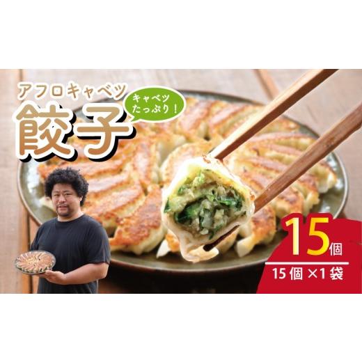 ふるさと納税 餃子 千葉県 銚子市 餃子 15個 きゃべつ 餃子 ぎょうざ ギョーザ 肉 汁 豚肉 アフロキャベツ 国産 食品 小分け キャンプ 野菜 やさい 弁当 惣菜 …