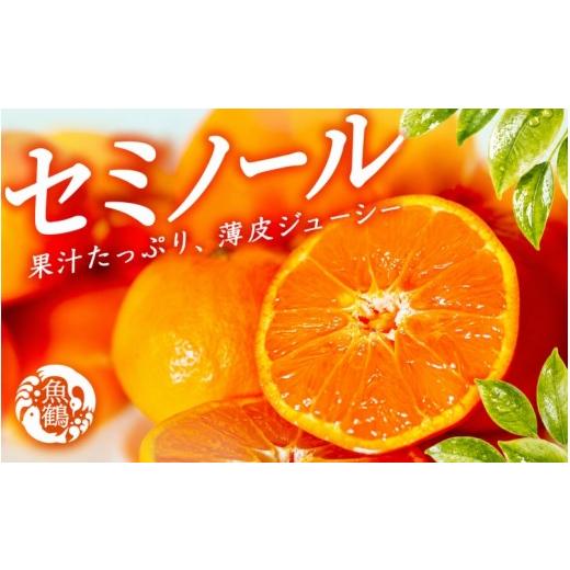 ふるさと納税 果物類 みかん 和歌山県 かつらぎ町 ジューシー柑橘 セミノールオレンジ 約5kg 2027年5月上旬頃〜2027年5月下旬頃に順次発送予定(お届け日指定…
