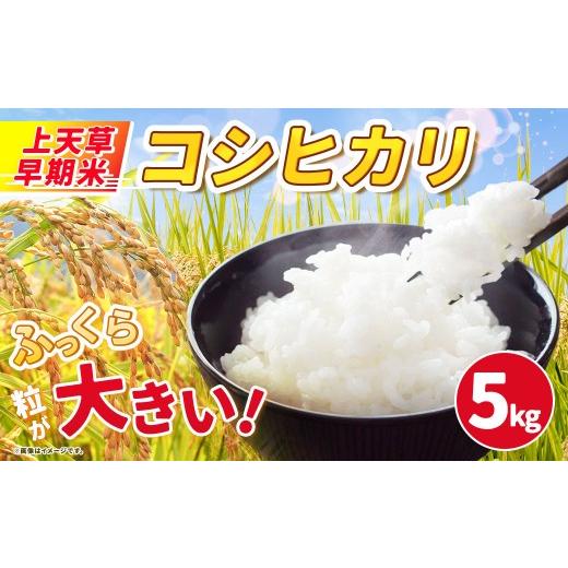ふるさと納税 米 コシヒカリ 熊本県 上天草市 上天草早期米 コシヒカリ 5kg 令和8年産 お米 米 こめ コメ 精米 白米 白飯 飯 ご飯 ブランド米 ブランド 国産 …