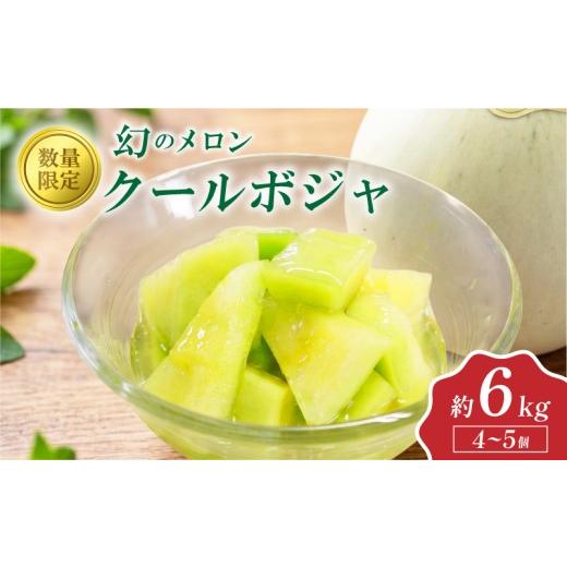 ふるさと納税 メロン メロン青肉 宮城県 岩沼市 数量限定 幻のメロン クールボジャ 4〜5玉 約6kg 国産 メロン めろん melon meron 青肉メロン 青肉 東北メロ…