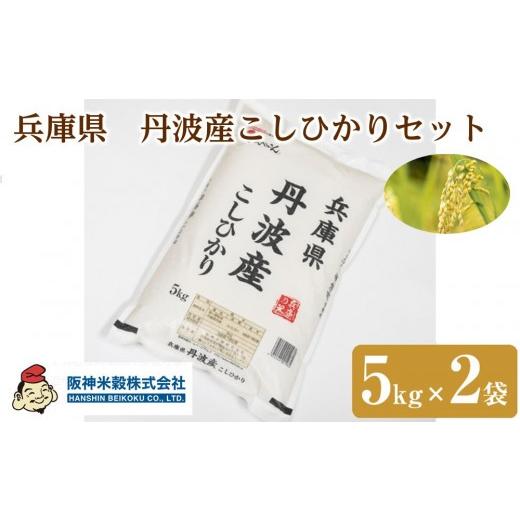 ふるさと納税 米 コシヒカリ 兵庫県 西宮市 兵庫県 丹波産こしひかりセット 5kg×2袋