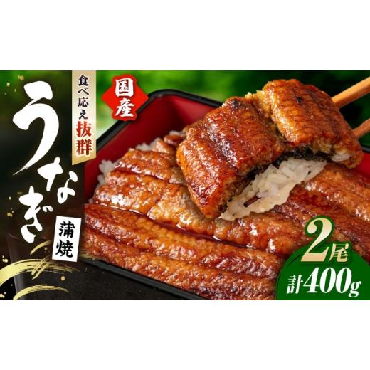 ふるさと納税 うなぎ 滋賀県 長浜市 うなぎ蒲焼 うなぎ 国産 2尾 約400g | 国産 うなぎ 鰻 ウナギ 蒲焼 丑の日 うなぎ 蒲焼き うなぎ ウナギ 鰻 冷凍 鰻 うな…