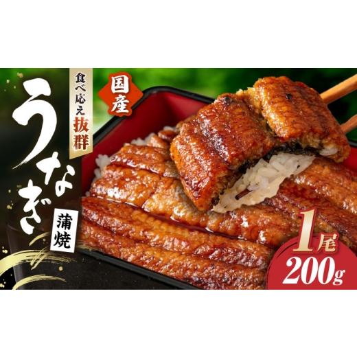 ふるさと納税 うなぎ 滋賀県 長浜市 お中元対象 うなぎ蒲焼 うなぎ 国産 1尾 約200g | うなぎ ウナギ unagi 国産鰻 こくさんうなぎ 蒲焼 蒲焼き かばやき 国…