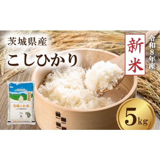 ふるさと納税 米 コシヒカリ 茨城県 筑西市 先行予約 令和8年産 新米 米 茨城県産 コシヒカリ 5kg 精米 お米 ご飯 ごはん コメ 白米 ライス こしひかり 新米5…