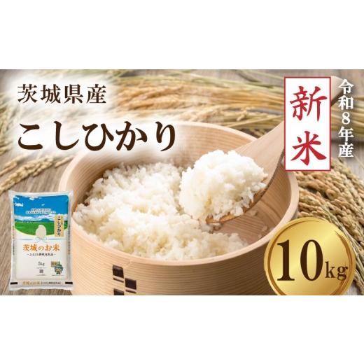 ふるさと納税 米 コシヒカリ 茨城県 筑西市 先行予約 令和8年産 新米 米 茨城県産 コシヒカリ 10kg 精米 お米 ご飯 ごはん コメ 白米 ライス こしひかり 新米…