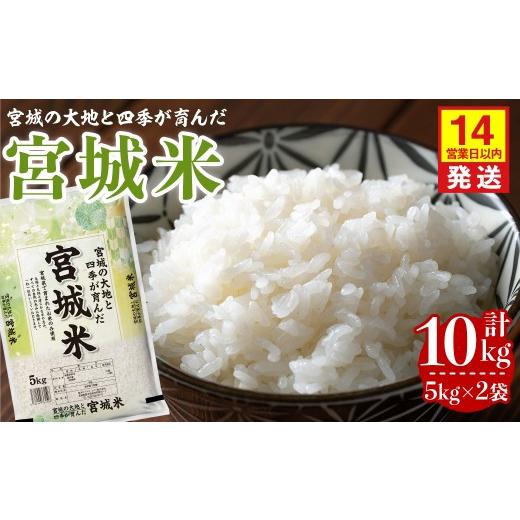 ふるさと納税 米 宮城県 登米市 14営業日以内に発送予定 宮城米 10kg (5kg×2袋) ブレンド米 業務用 お米 おこめ 米 コメ 白米 ご飯 ごはん おにぎり お弁当 …