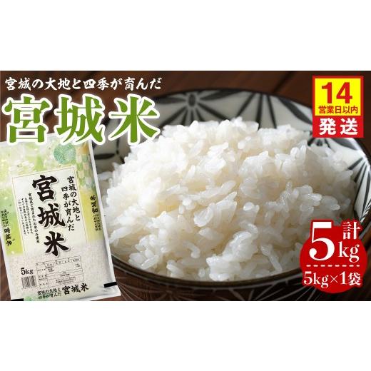 ふるさと納税 米 宮城県 登米市 14営業日以内に発送予定 宮城米 5kg×1袋 ブレンド米 業務用 お米 おこめ 米 コメ 白米 ご飯 ごはん おにぎり お弁当 登米ラ…