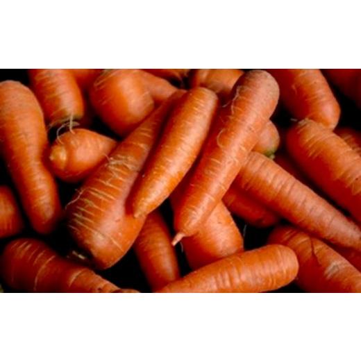 ふるさと納税 野菜類 人参 京都府 京丹後市 先行予約11月下旬〜順次発送 SORA農園の有機にんじん5kg 有機野菜 有機農園 オーガニックファーム オーガニッ…