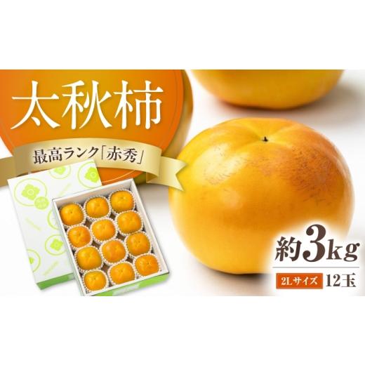 ふるさと納税 果物類 柿 愛媛県 内子町 太秋柿 赤秀2サイズ約3kg(12玉入り)/ フルーツ 果物 くだもの かき 柿 内子町 愛媛たいき農業協同組合 果樹生産出…