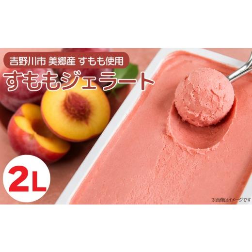 ふるさと納税 アイス・ヨーグルト ジェラート 徳島県 吉野川市 ジェラート 業務用 2L すもも アイス 氷菓 ジェラート デザート すももアイス スモモ スイーツ …