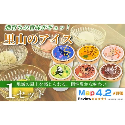 ふるさと納税 菓子 アイス 高知県 安芸市 里山のアイス 100ml×6個 アイスクリーム シャーベットアイス 人気 ご当地アイス 高知県 なす 焼きナス かぼちゃ 焼…