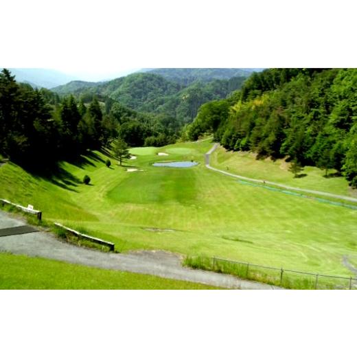 ふるさと納税 ゴルフ場利用券 山梨県 身延町 富士川カントリークラブ 利用助成券 3,000円 × 2枚 ゴルフ ゴルフ場 ゴルフプレー ゴルフコース 施設利用券 施設…