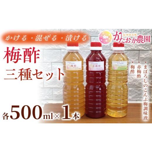 ふるさと納税 たれ・ドレッシング・酢 果実酢 和歌山県 みなべ町 2026年8月以降発送予定 これ一本で味変 梅酢三種セット 各500ml ×1本 |赤梅酢 梅酢 お酢 …