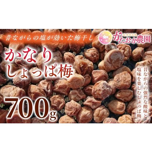 ふるさと納税 加工品等 梅干 和歌山県 みなべ町 2026年8月以降発送予定 昔ながらの塩が効いた梅干し かなりしょっぱ梅(700g)|梅干し 梅干 無添加 無着色 …