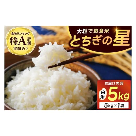 ふるさと納税 米 栃木県 益子町 ＼先行予約・10月より順次発送・令和8年産/山?観光農園のお米 とちぎの星 白米5kg|栃木県 益子町 ふるさと納税 お米 米 白…