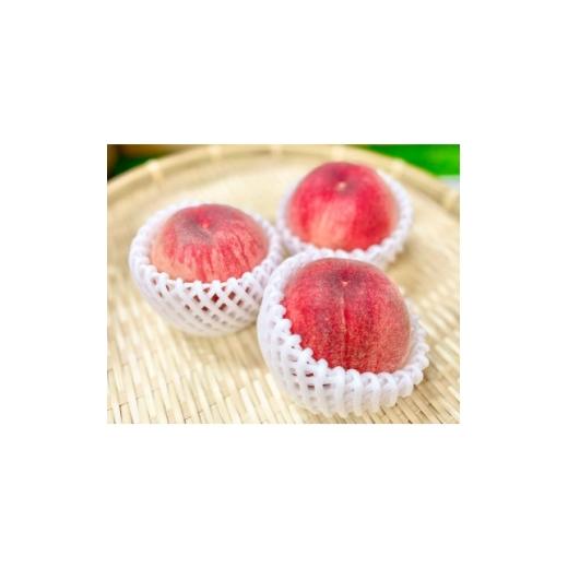 ふるさと納税 もも 宮城県 - 限定50箱 桃(化粧箱) 7玉入り 1720148