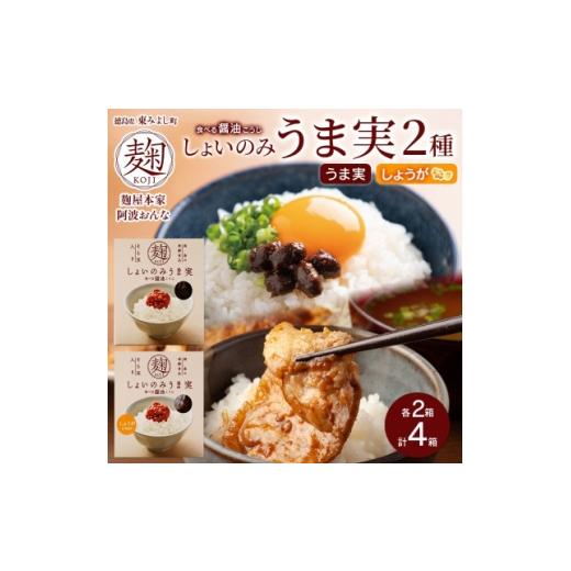 ふるさと納税 調味料・油 徳島県 東みよし町 しょいのみ 2種セット うま実 しょうが味 各2箱 計4箱 発酵食品 徳島県 東みよし町 1740194