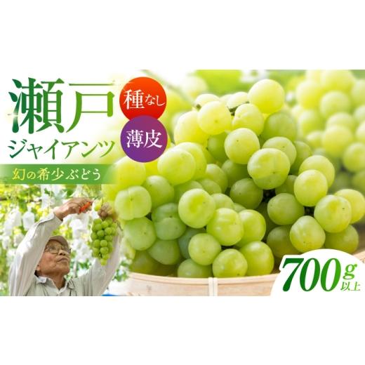 ふるさと納税 ぶどう マスカット 佐賀県 江北町 先行予約 瀬戸ジャイアンツ 700g以上 小林農園 / ブドウ ぶどう 果物 種なし