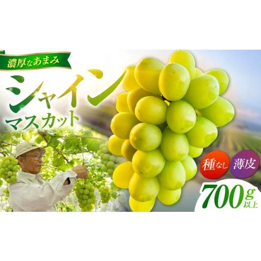 ふるさと納税 ぶどう マスカット 佐賀県 江北町 先行予約 シャインマスカット 700g以上 小林農園 / ブドウ ぶどう 果物 種なし