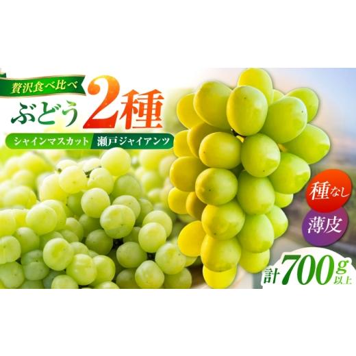 ふるさと納税 ぶどう マスカット 佐賀県 江北町 先行予約 ぶどう2種詰め合わせ(瀬戸ジャイアンツ・シャインマスカット) 総計700g以上 小林農園 / ブドウ …