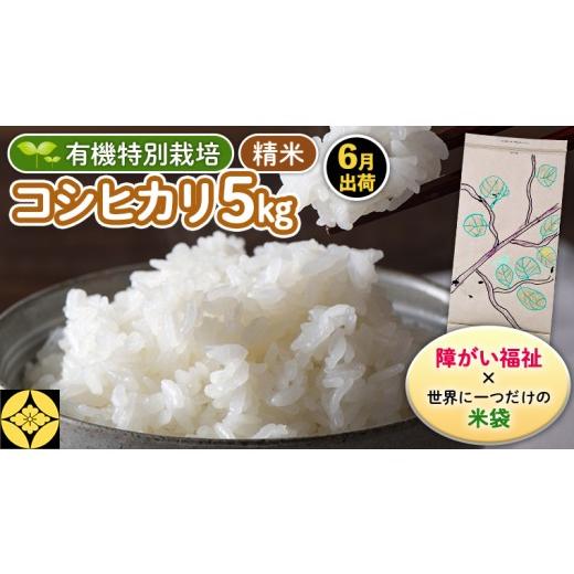 ふるさと納税 米 コシヒカリ 茨城県 つくばみらい市 令和7年産 6月出荷 障害福祉 × 世界に一つだけの 米袋 精米 5kg 三百年続く農家の 有機特別栽培 コシヒカ…