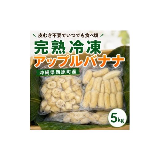 ふるさと納税 果物類 沖縄県 西原町 皮むき不要 いつでも食べ頃 完熟冷凍アップルバナナ5kg 1742592