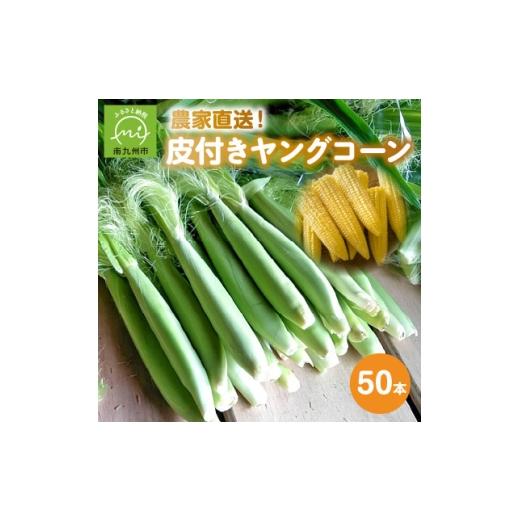 ふるさと納税 とうもろこし 鹿児島県 南九州市 皮付きヤングコーン(ベビーコーン)50本 1742931