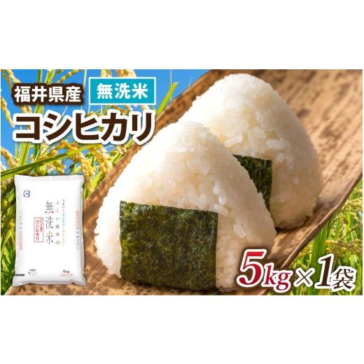 ふるさと納税 米 コシヒカリ 福井県 福井市 選べる容量 令和7年産 福井県産コシヒカリ 無洗米 5kg×1袋 / 米 こめ お米 コメ ごはん ご飯 飯 七年 7年産 5kg…