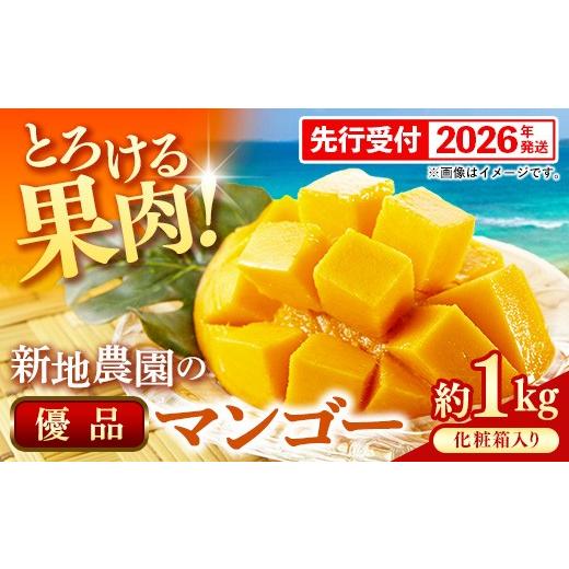 ふるさと納税 マンゴー 沖縄県 八重瀬町 化粧箱入り 先行受付・2026年発送 新地農園 アップルマンゴー 優品 約1kg (2〜3玉)- 産地直送 先行予約 沖縄県産 …