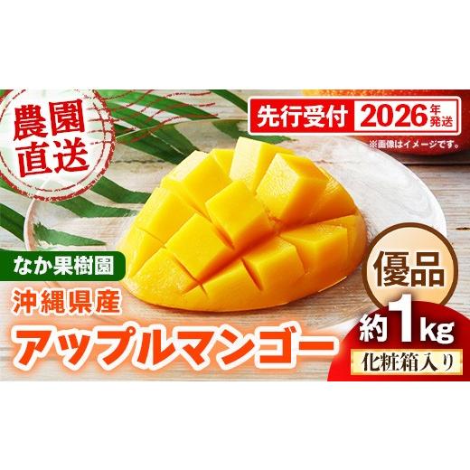 ふるさと納税 マンゴー 沖縄県 八重瀬町 化粧箱入り 先行受付・2026年発送 なか果樹園 アップルマンゴー 優品 約1kg - 産地直送 先行予約 沖縄県産 贈り物 ギ…